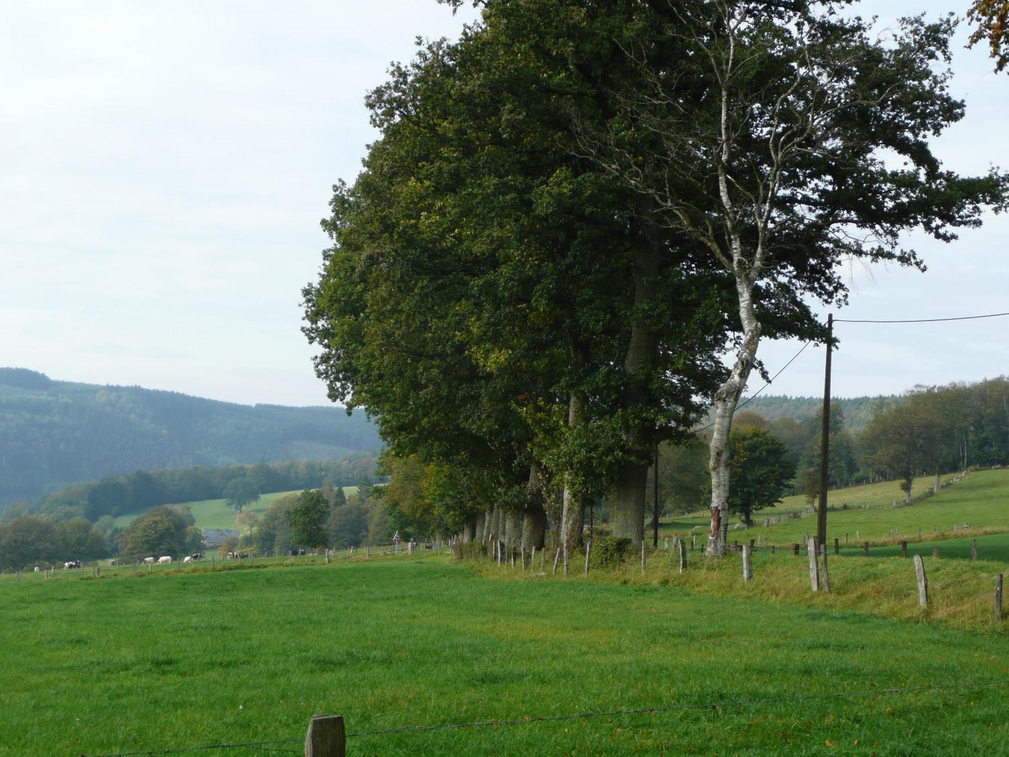 Le Fournil Gite Rural Villa Trois-Ponts Esterno foto